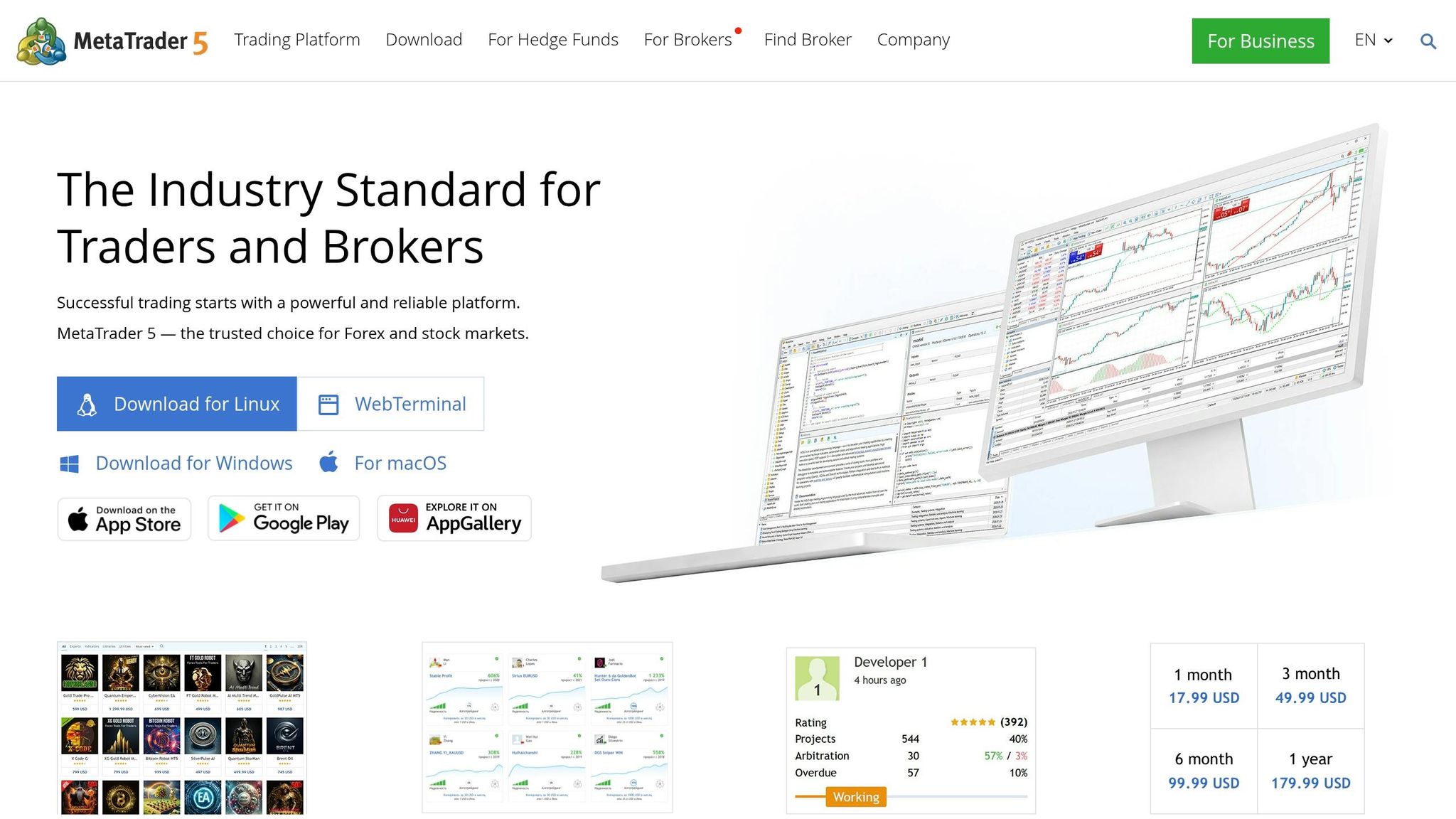 MetaTrader 5